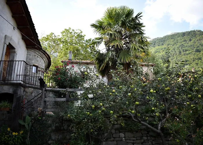 Cucu Nismozza * Busana