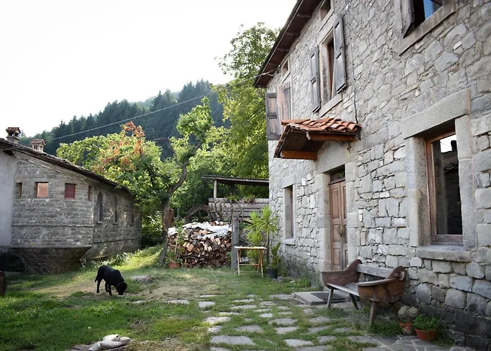 Cucu Nismozza Lejlighed *